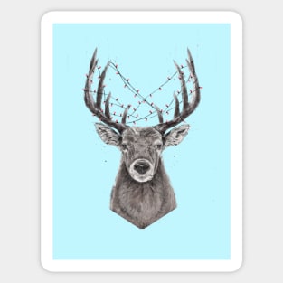 Xmas deer Sticker